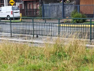 Vecinos denuncian mal estado del jardín del Mall de Puerto Varas