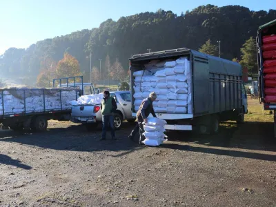 Venta de leña seca y de origen legal a precios promocionales este sábado en el Parque Municipal La Paloma de Puerto Montt