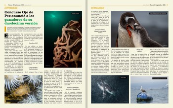 Página 4 | El Heraldo Austral